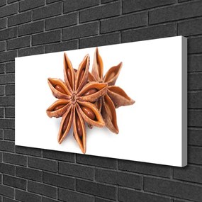 Fotoobraz na płótnie Aromat Gwieździstego Anyżu