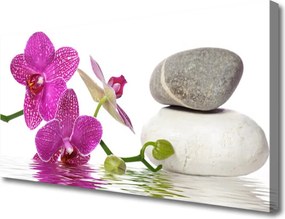 Zdjęcie na płótnie Biały Kwiat w Stylu Modern