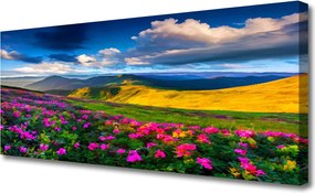 Fotoobraz na płótnie Malownicza Łąka Kwiatowa