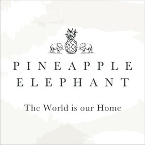 Brązowe zasłony zestaw 2 szt. 168x183 cm Suri Geo – Pineapple Elephant