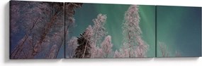 Obraz zorzy polarnej nad zamarzniętymi drzewami (170x50 cm)
