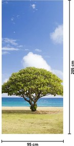 Fototapeta na drzwi - Plaża z drzewem (95x205cm)