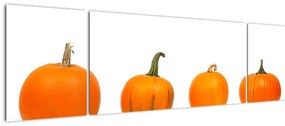 Obraz dyni (170x50 cm)