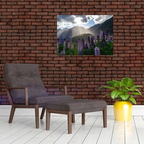 Obraz na szkle - Sceneria łubinów (70x50 cm)