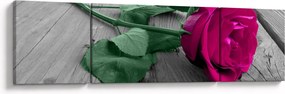Obraz - Różowa róża z zieloną łodygą (170x50 cm)