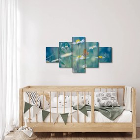 Obraz - Motyl na stokrotce (125x70 cm)