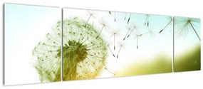 Obraz - Dmuchawiec na wietrze (170x50 cm)