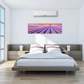 Obraz - farma kwiatów (170x50 cm)