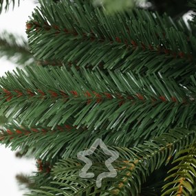 Jodła Kangri 150 cm
