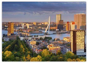 Obraz - Panorama Rotterdamu, Holandia (70x50 cm)