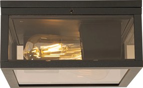 Plafon czarny z przydymionym szkłem 2-światła IP44 - Charlois