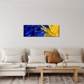 Obraz - szczegóły kwiatów (z zegarem) (90x30 cm)