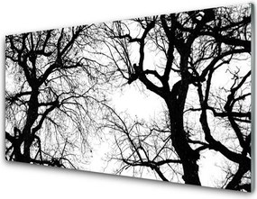 Panel Szklany Drzewa w Czerni i Bieli