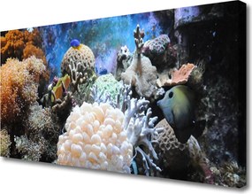 Obraz canvas Bogactwo Oceanicznej Rafy