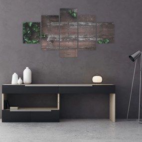 Obraz - Bluszcz (125x70 cm)