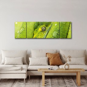 Obraz węża (170x50 cm)