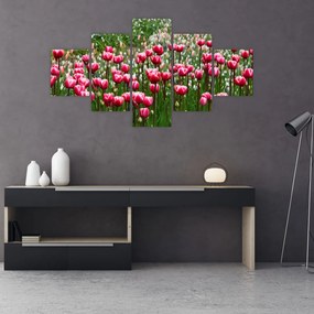 Obraz tulipanów (125x70 cm)