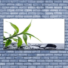Obraz canvas na ścianę Harmonijne Połączenie Liści i Kamieni