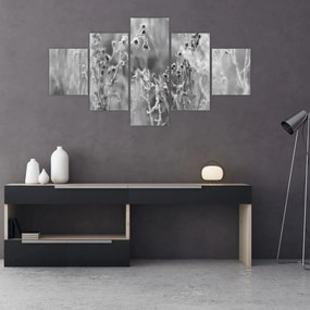 Obraz - Dzika łąka (125x70 cm)