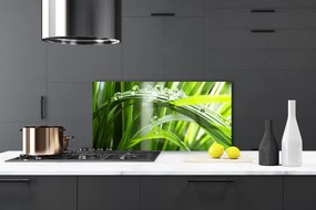 Panel nad blat kuchenny Perlista Rosa na Trawie