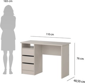 Biurko młodzieżowe z szufladami Function Plus 110, kolor kaszmirowy