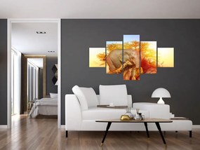 Obraz zwierząt afrykańskich (125x70 cm)