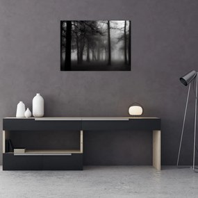Obraz - Las we mgle (70x50 cm)