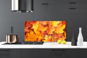 Szkło do Kuchni na Ścianę Organiczny Motyw Roślinny