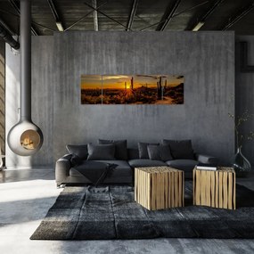 Obraz - Koniec dnia na pustyni w Arizonie (170x50 cm)