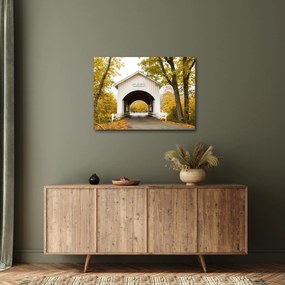 Obraz mostu w Oregonie (70x50 cm)