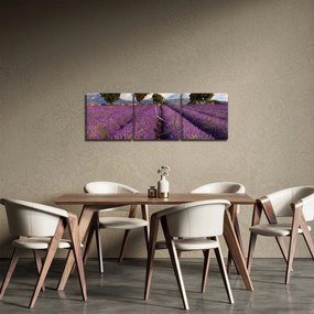 Obraz - Pole lawendy i góry (z zegarem) (90x30 cm)