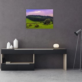 Obraz łąki (70x50 cm)