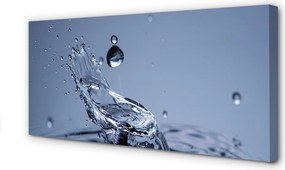 Duży obraz na płótnie Pojedyncza Kropla Rosy