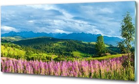Foto obraz szklany Lawenda w górach
