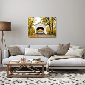 Obraz na szkle mostu w Oregonie (70x50 cm)