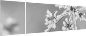 Obraz - Mrożona roślina (170x50 cm)