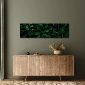 Obraz - Paprocie tropikalne (170x50 cm)