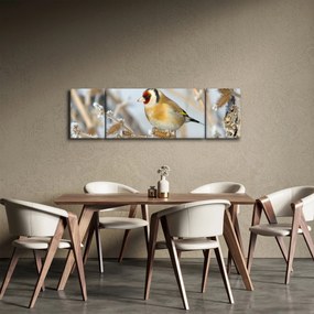 Obraz - Szczygieł (170x50 cm)