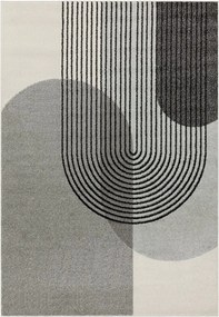 Dywan szary 230x160 cm Muse - Asiatic Carpets