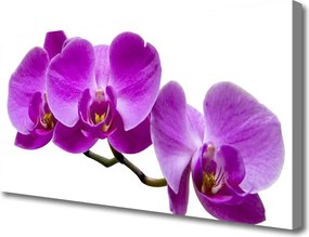 Fotoobraz na płótnie Romantyczny Akcent Roślinny