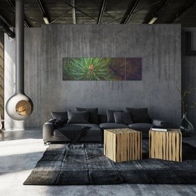 Obraz - Detal sosny (170x50 cm)