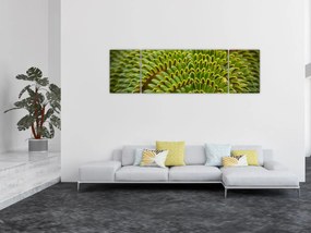 Obraz - Paproć (170x50 cm)