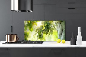 Panel Szklany Dojrzałe Jabłka Na Gałęzi