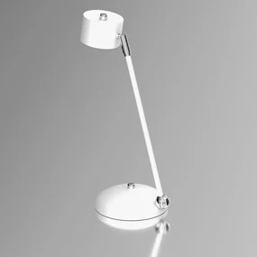 Lampka biurkowa ARENA WHITE/SILVER 1xGX53, biała, na biurko
