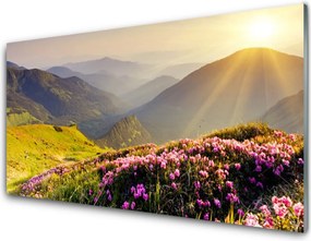 Panel Szklany Panorama Górskiej Hali