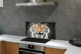 Panel szklany do Kuchni Tygrys Bengalski w Naturze