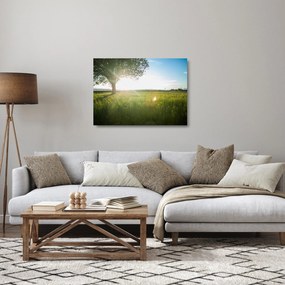 Obraz na szkle - letnia łąka (70x50 cm)