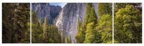 Obraz - Pod Yosemite Rock (170x50 cm)