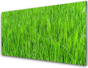 Panel Szklany Soczysta Zielona Murawa