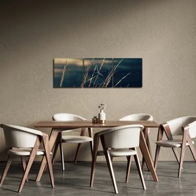 Obraz traw (z zegarem) (90x30 cm)